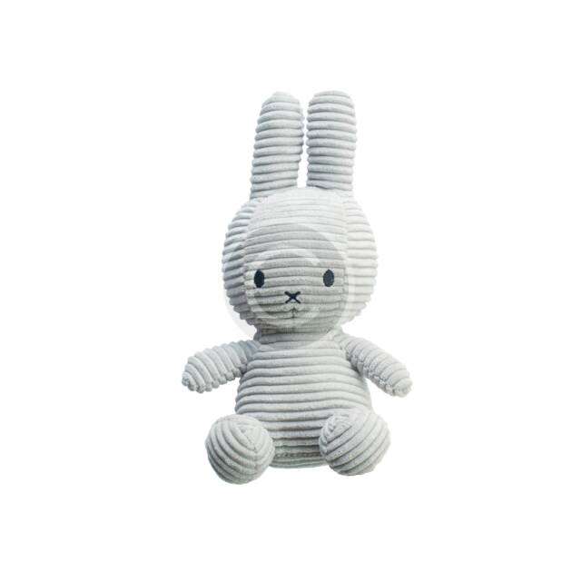 Plush Toy for Dog