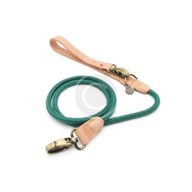 Dog Leash